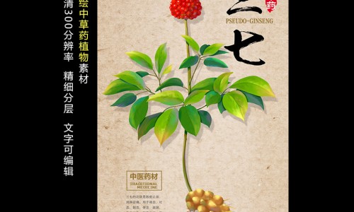 菊三七主要别名-菊三七图片及功效专区_菊三七药治病配方专区_菊三七药材图片网