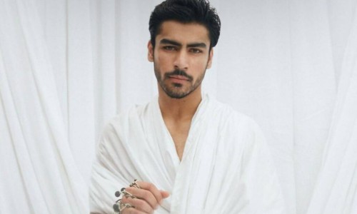 菊三七主要别名-菊三七图片及功效专区_菊三七药治病配方专区_菊三七药材图片网