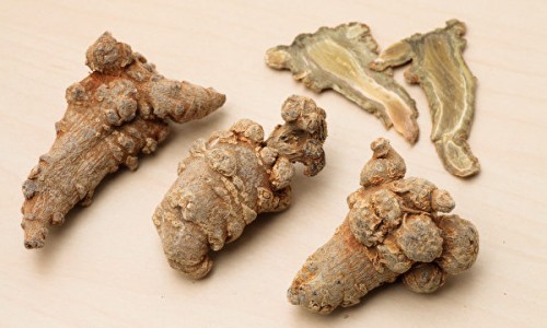 菊三七图片植物图片-菊三七图片及功效专区_菊三七药治病配方专区_菊三七药材图片网